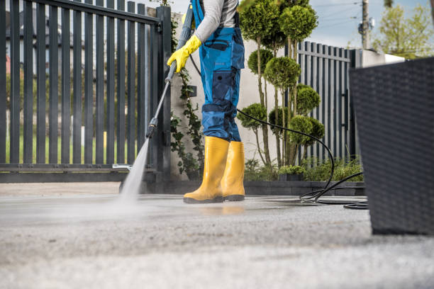 Best Gutter Cleaning  in Edina, MO